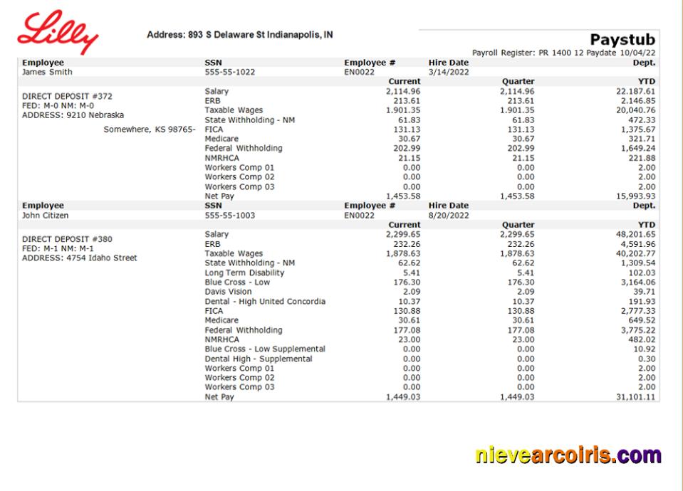 USA pharmaceutical company earnings statement